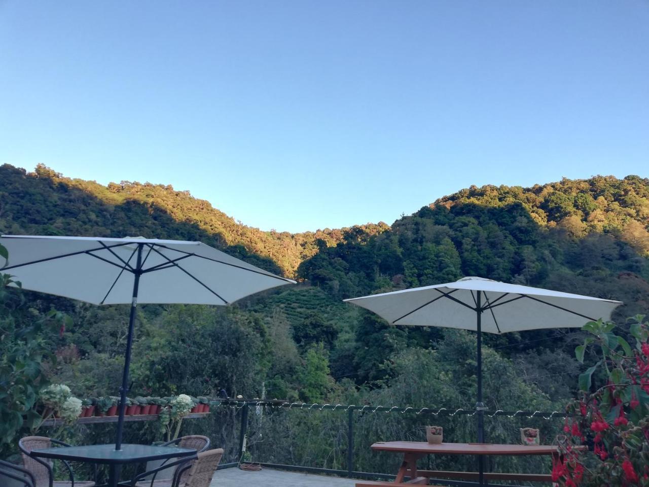 Los Lagos Lodge San Gerardo de Dota Esterno foto
